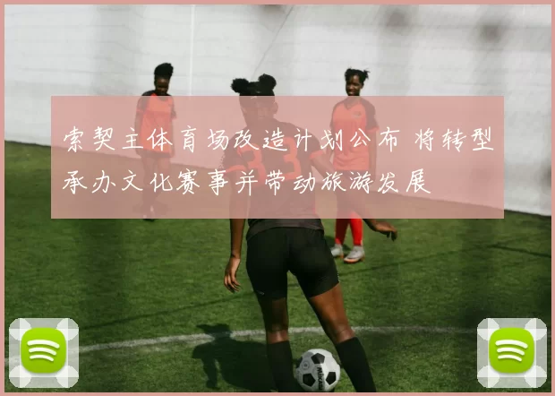 索契主体育场改造计划公布 将转型承办文化赛事并带动旅游发展