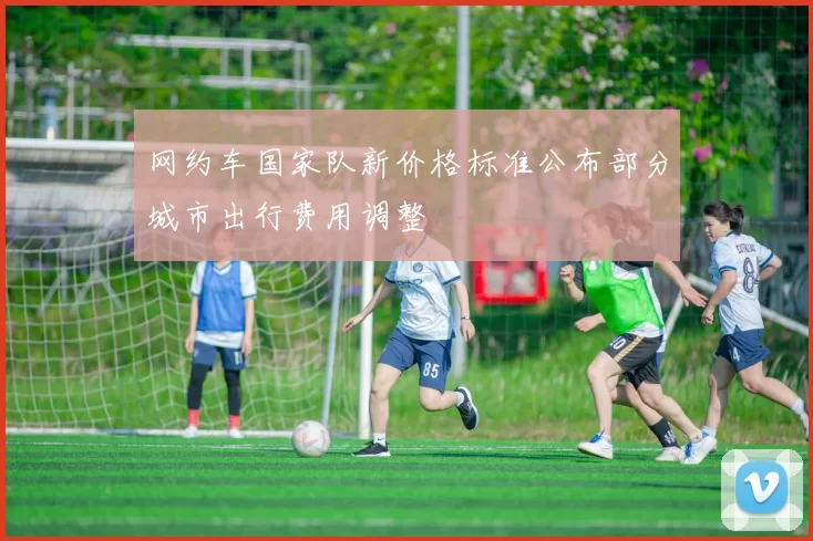 网约车国家队新价格标准公布部分城市出行费用调整