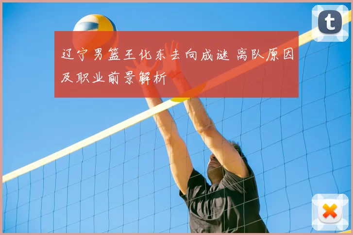 辽宁男篮王化东去向成谜 离队原因及职业前景解析